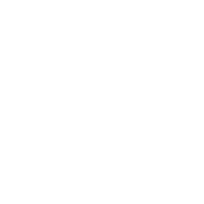The Sprint Team